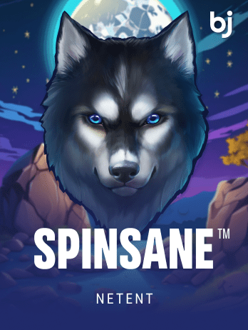 Spinsane